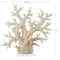 21" Cream Polystone Coral Sculpture with Clear Acrylic Base